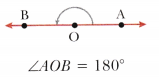 Lines and Angles Class 6 Notes Maths Chapter 2-22