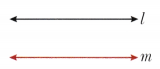 Lines and Angles Class 6 Notes Maths Chapter 2-4