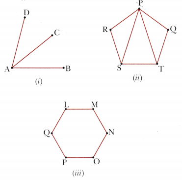 Lines and Angles Class 6 Solutions Maths Ganita Prakash Chapter 2 29