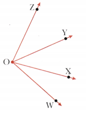Lines and Angles Class 6 Solutions Maths Ganita Prakash Chapter 2 47