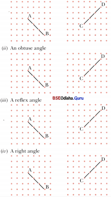Lines and Angles Class 6 Solutions Maths Ganita Prakash Chapter 2 54