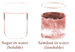 Materials Around Us Class 6 Notes Science Chapter 6 5
