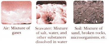Methods of Separation in Everyday Life Class 6 Notes Science Chapter 9 1
