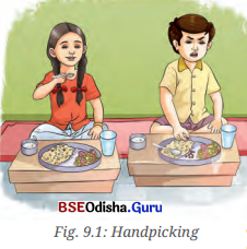 Methods of Separation in Everyday Life Class 6 Notes Science Chapter 9 2