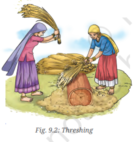 Methods of Separation in Everyday Life Class 6 Notes Science Chapter 9 3