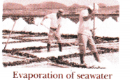 Methods of Separation in Everyday Life Class 6 Notes Science Chapter 9 6