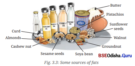 Mindful Eating A Path to a Healthy Body Class 6 Notes Science Chapter 3 2