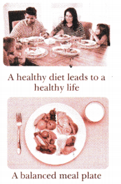 Mindful Eating A Path to a Healthy Body Class 6 Notes Science Chapter 3 5