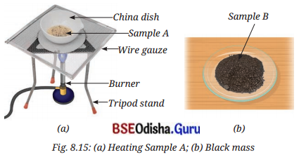 Nature of Matter Elements, Compounds, and Mixtures Class 8 Question Answer Science Chapter 8.15