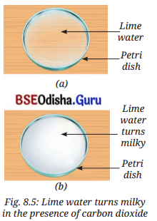Nature of Matter Elements, Compounds, and Mixtures Class 8 Question Answer Science Chapter 8.3