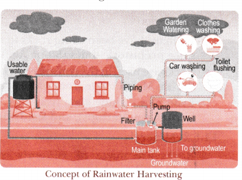 Nature’s Treasures Class 6 Notes Science Chapter 11 3