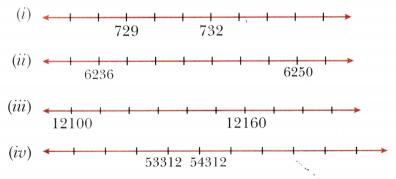 Number Play Class 6 Solutions Maths Ganita Prakash Chapter 3 15