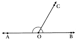 Parallel and Intersecting Lines Class 7 MCQ Maths Chapter 5-5
