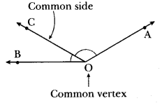 Parallel and Intersecting Lines Class 7 MCQ Maths Chapter 5-7