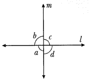 Parallel and Intersecting Lines Class 7 MCQ Maths Chapter 5-8