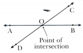 Parallel and Intersecting Lines Class 7 Notes Maths Chapter 5-10