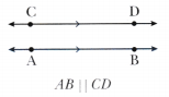 Parallel and Intersecting Lines Class 7 Notes Maths Chapter 5-12