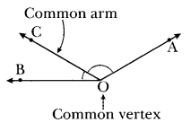 Parallel and Intersecting Lines Class 7 Notes Maths Chapter 5-5