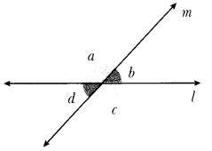 Parallel and Intersecting Lines Class 7 Notes Maths Chapter 5-7