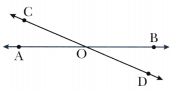 Parallel and Intersecting Lines Class 7 Solutions Maths Ganita Prakash Chapter 5-15
