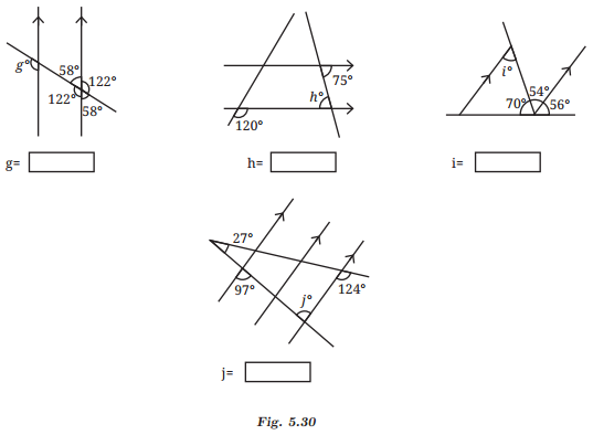 Parallel and Intersecting Lines Class 7 Solutions Maths Ganita Prakash Chapter 5-8
