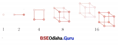Patterns in Mathematics Class 6 Solutions Maths Ganita Prakash Chapter 1 5