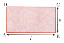 Perimeter and Area Class 6 Notes Maths Chapter 6-3