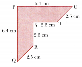 Perimeter and Area Class 6 Solutions Maths Ganita Prakash Chapter 6 11