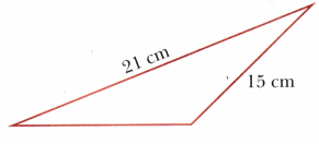 Perimeter and Area Class 6 Solutions Maths Ganita Prakash Chapter 6 16