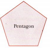 Perimeter and Area Class 6 Solutions Maths Ganita Prakash Chapter 6 19