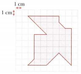 Perimeter and Area Class 6 Solutions Maths Ganita Prakash Chapter 6 27