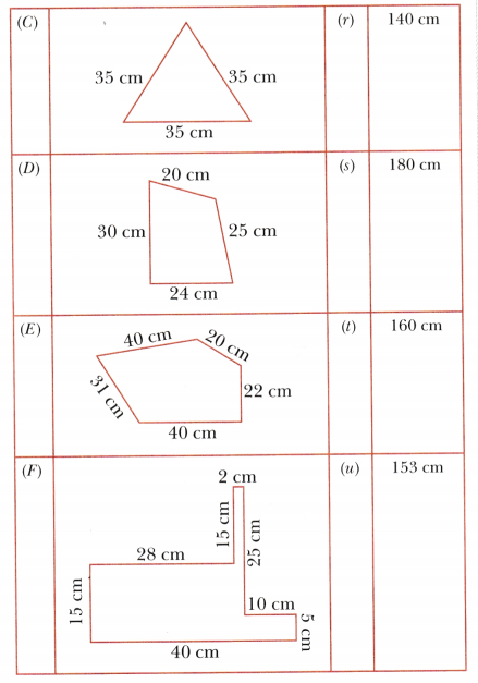Perimeter and Area Class 6 Solutions Maths Ganita Prakash Chapter 6 33