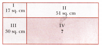 Perimeter and Area Class 6 Solutions Maths Ganita Prakash Chapter 6 42