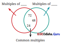 Prime Time Class 6 Solutions Maths Ganita Prakash Chapter 5 1