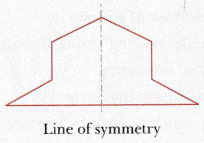 Symmetry Class 6 MCQ Maths Chapter 9-5