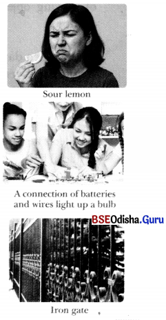 The Ever-Evolving World of Science Class 7 Notes Science Chapter 1 2