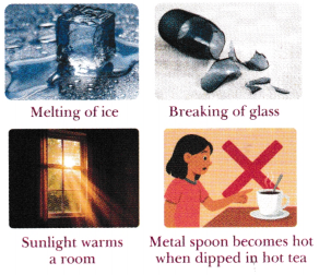 The Ever-Evolving World of Science Class 7 Notes Science Chapter 1 3