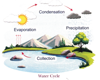 The Ever-Evolving World of Science Class 7 Notes Science Chapter 1 4