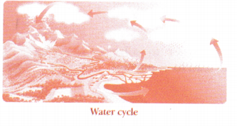 The Wonderful World of Science Class 6 Notes Science Chapter 1 1