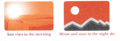 The Wonderful World of Science Class 6 Notes Science Chapter 1 3