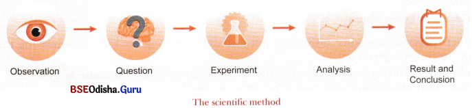 The Wonderful World of Science Class 6 Notes Science Chapter 1 4