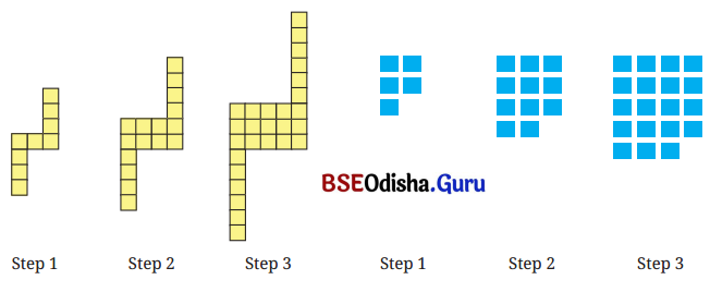 We Distribute Yet Things Multiply Class 8 Solutions Maths Ganita Prakash Chapter 6 6