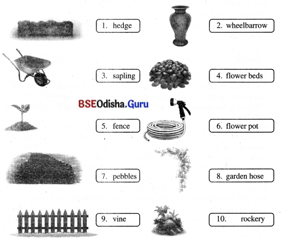 A Concrete Example Class 8 Question Answer English Jasmine Chapter 2.14