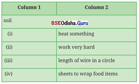 A Concrete Example Class 8 Question Answer English Jasmine Chapter 2.5