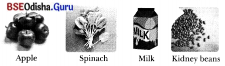 Adolescence A Stage of Growth and Change Class 7 MCQ with Answers Science Chapter 6.2