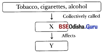 Adolescence A Stage of Growth and Change Class 7 MCQ with Answers Science Chapter 6.3