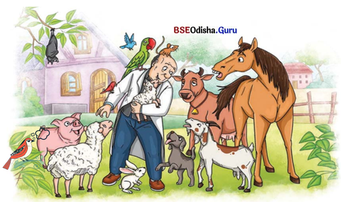 Animals Birds and Dr Dolittle Class 7 Question Answer English Jasmine Chapter 4 6
