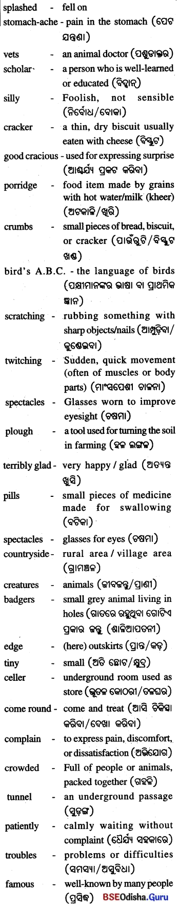 Animals Birds and Dr Dolittle Class 7 Question Answer English Jasmine Chapter 4 7