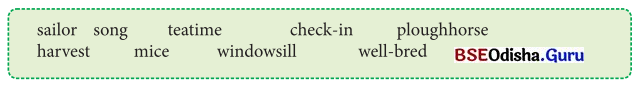 Animals Birds and Dr Dolittle Class 7 Question Answer English Jasmine Chapter 4 9
