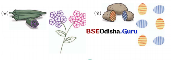 Class 5 Maths Chapter 10 Question Answer Odia Medium ନଡ଼ିଆ ବଗିଚା 35